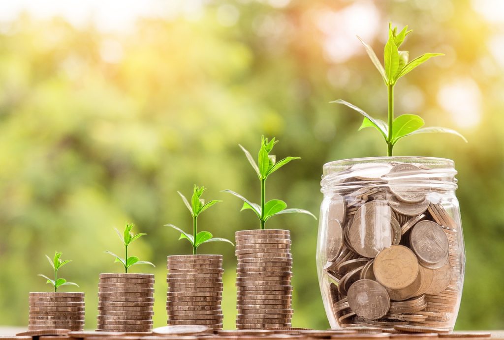 Immosoul Immobilieninvestitionen mit Offmarket-Immobilien. Beratung Freude am Tun Geld wächst an Baumen Geld in Töpfen